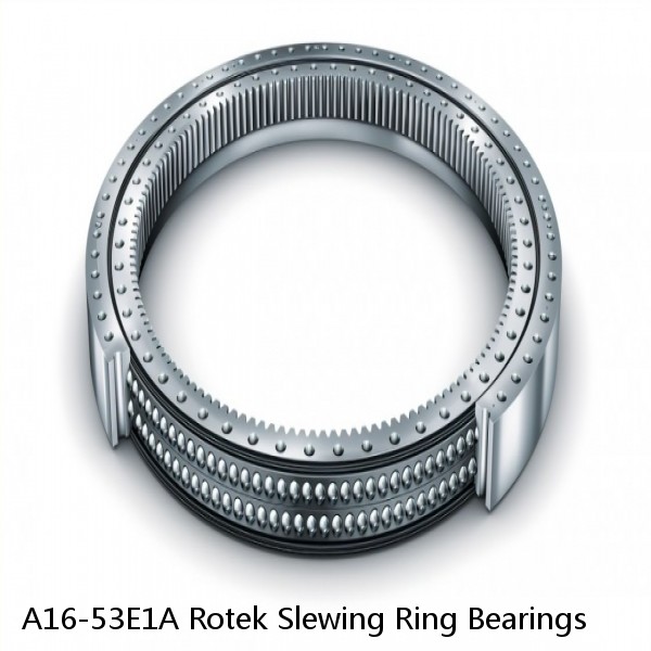 A16-53E1A Rotek Slewing Ring Bearings