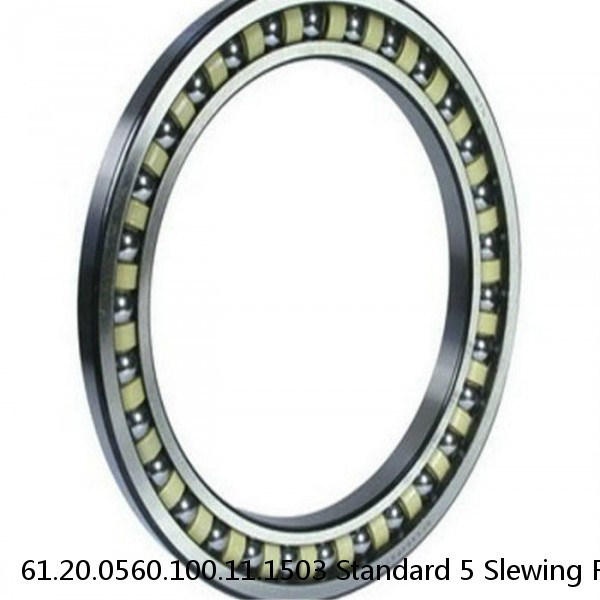 61.20.0560.100.11.1503 Standard 5 Slewing Ring Bearings
