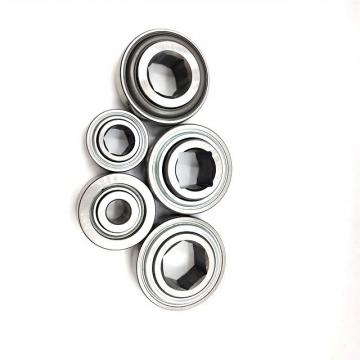 Angular Contact/Thrust/Taper Roller/Self-Aligning/Flange/Inch/Wheell 608 2RS Ball Bearings