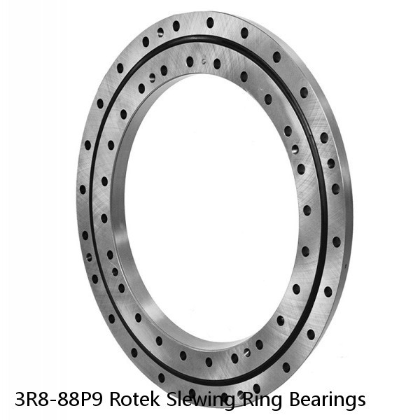 3R8-88P9 Rotek Slewing Ring Bearings