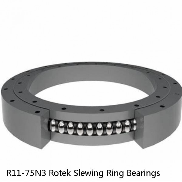 R11-75N3 Rotek Slewing Ring Bearings