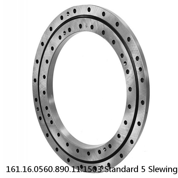 161.16.0560.890.11.1503 Standard 5 Slewing Ring Bearings