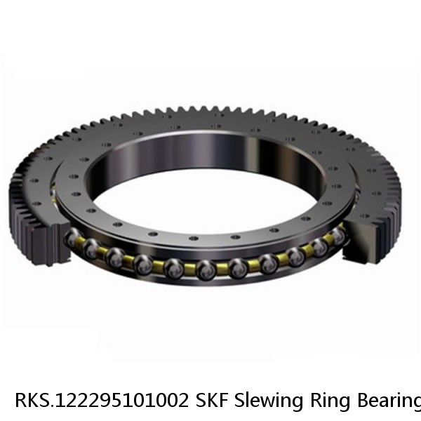 RKS.122295101002 SKF Slewing Ring Bearings