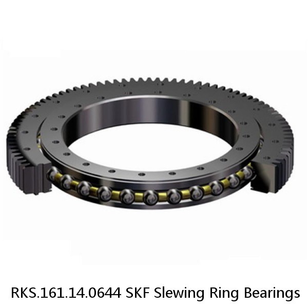 RKS.161.14.0644 SKF Slewing Ring Bearings