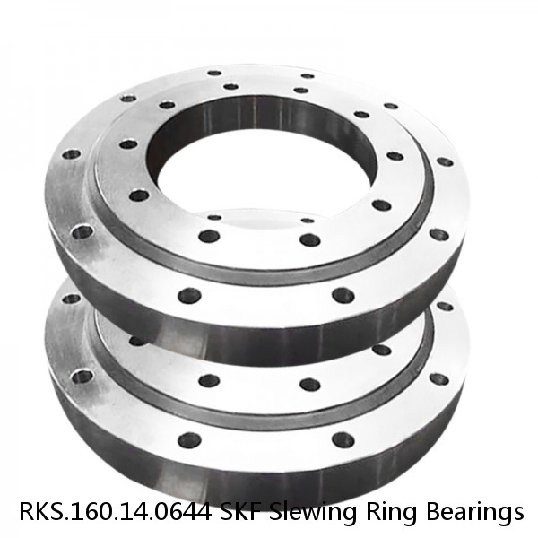 RKS.160.14.0644 SKF Slewing Ring Bearings