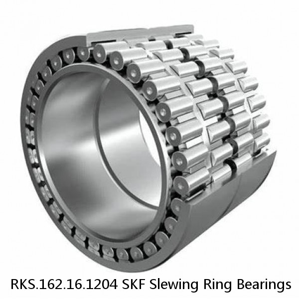 RKS.162.16.1204 SKF Slewing Ring Bearings