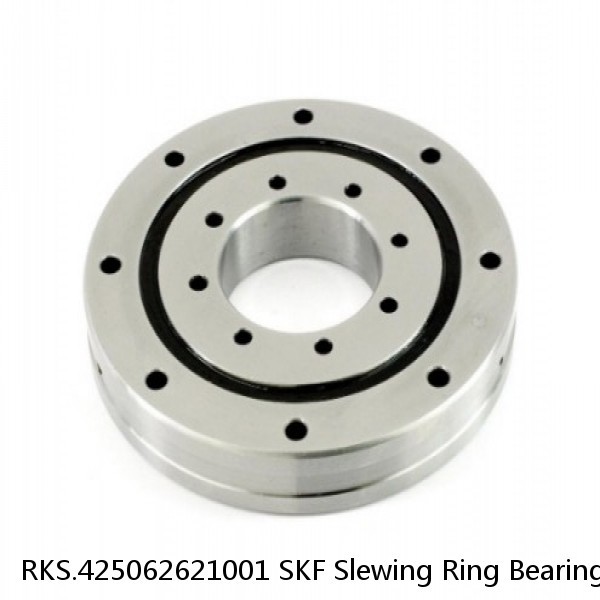 RKS.425062621001 SKF Slewing Ring Bearings