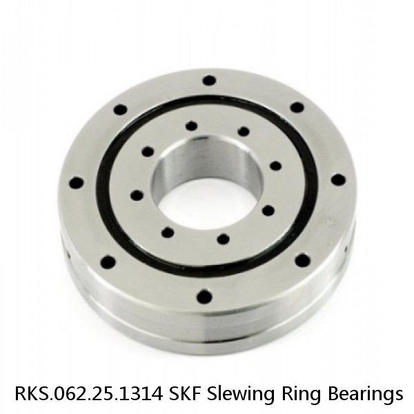 RKS.062.25.1314 SKF Slewing Ring Bearings