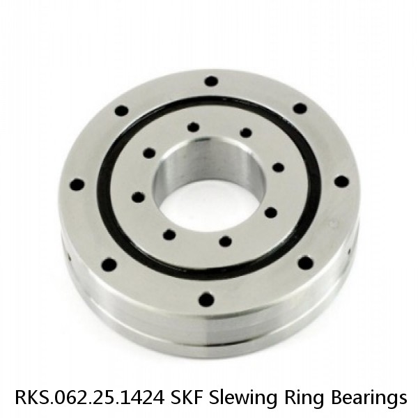 RKS.062.25.1424 SKF Slewing Ring Bearings