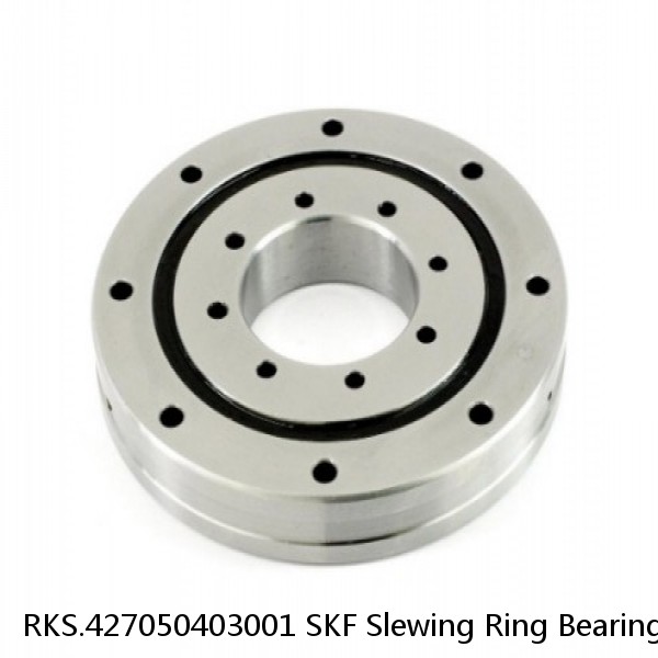 RKS.427050403001 SKF Slewing Ring Bearings