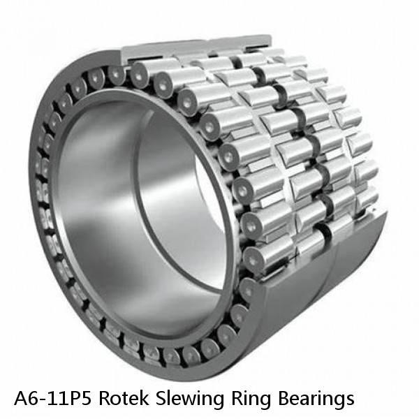 A6-11P5 Rotek Slewing Ring Bearings