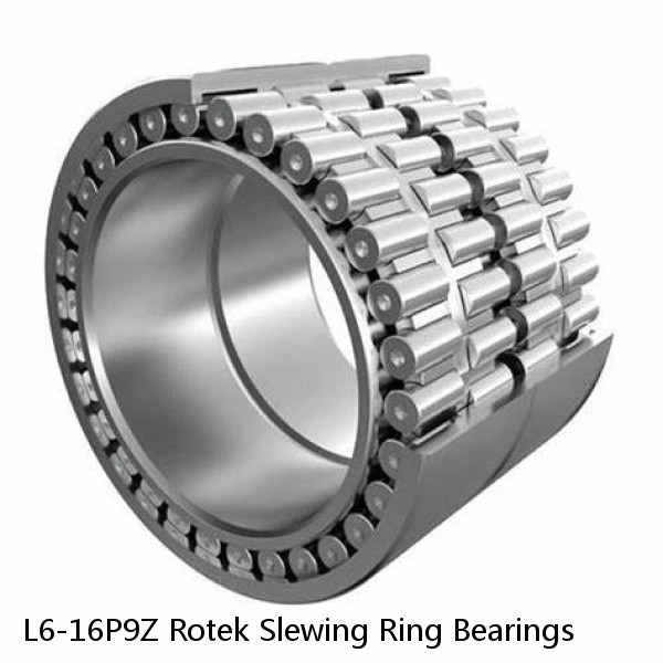 L6-16P9Z Rotek Slewing Ring Bearings