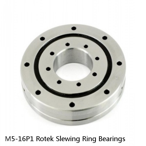 M5-16P1 Rotek Slewing Ring Bearings