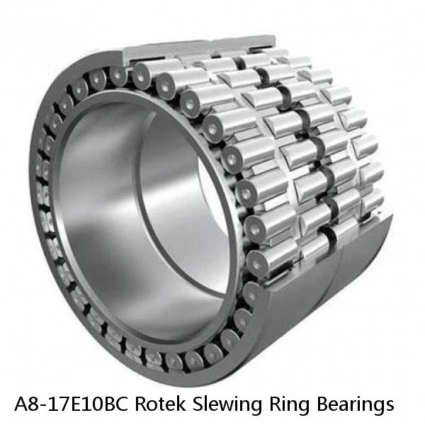 A8-17E10BC Rotek Slewing Ring Bearings