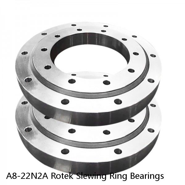 A8-22N2A Rotek Slewing Ring Bearings