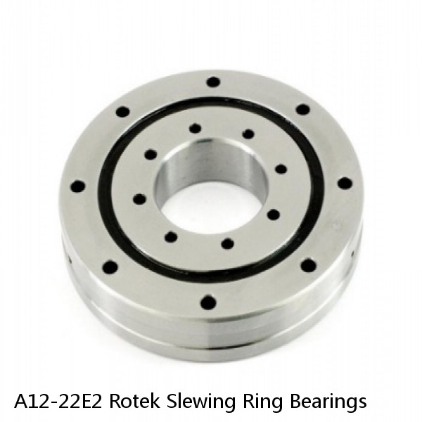 A12-22E2 Rotek Slewing Ring Bearings