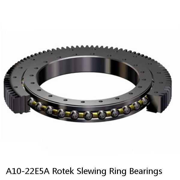 A10-22E5A Rotek Slewing Ring Bearings