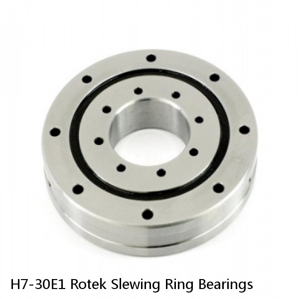 H7-30E1 Rotek Slewing Ring Bearings