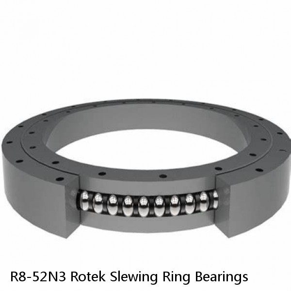 R8-52N3 Rotek Slewing Ring Bearings