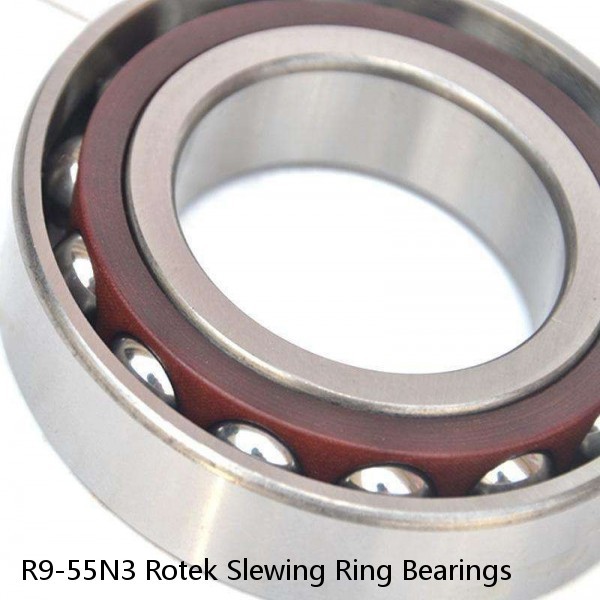 R9-55N3 Rotek Slewing Ring Bearings