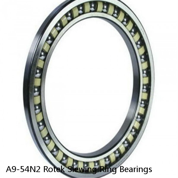 A9-54N2 Rotek Slewing Ring Bearings