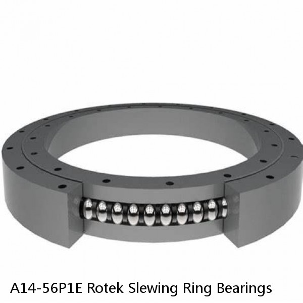 A14-56P1E Rotek Slewing Ring Bearings