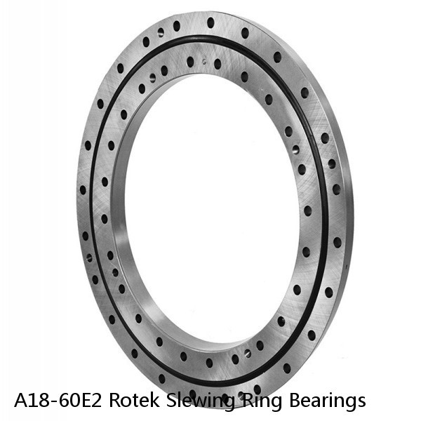 A18-60E2 Rotek Slewing Ring Bearings