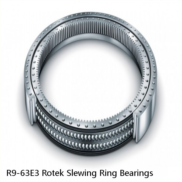 R9-63E3 Rotek Slewing Ring Bearings