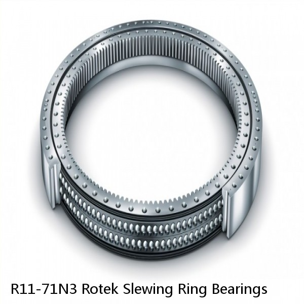 R11-71N3 Rotek Slewing Ring Bearings