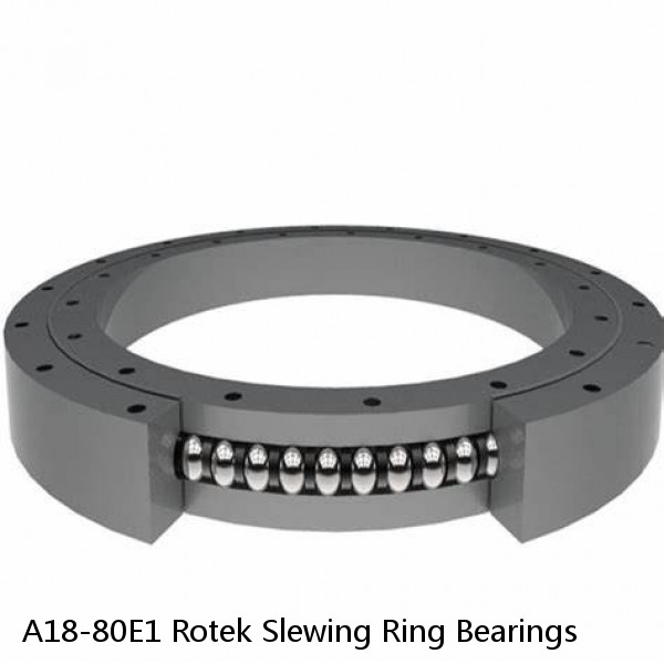 A18-80E1 Rotek Slewing Ring Bearings