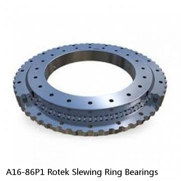 A16-86P1 Rotek Slewing Ring Bearings