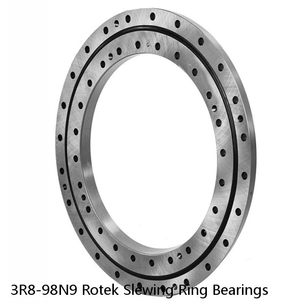 3R8-98N9 Rotek Slewing Ring Bearings