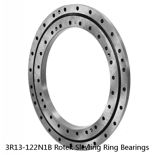 3R13-122N1B Rotek Slewing Ring Bearings