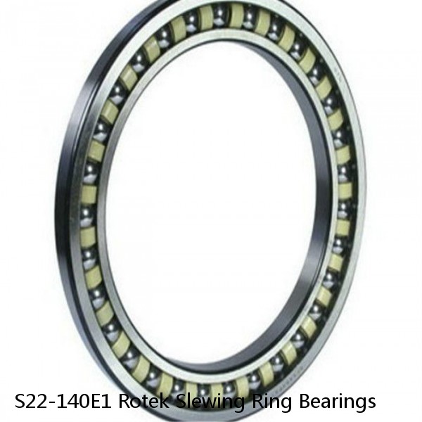 S22-140E1 Rotek Slewing Ring Bearings