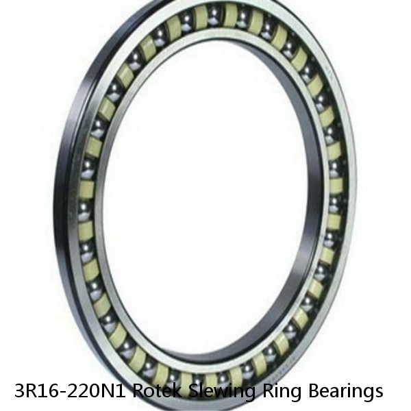 3R16-220N1 Rotek Slewing Ring Bearings