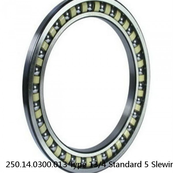 250.14.0300.013 Type 13/4 Standard 5 Slewing Ring Bearings