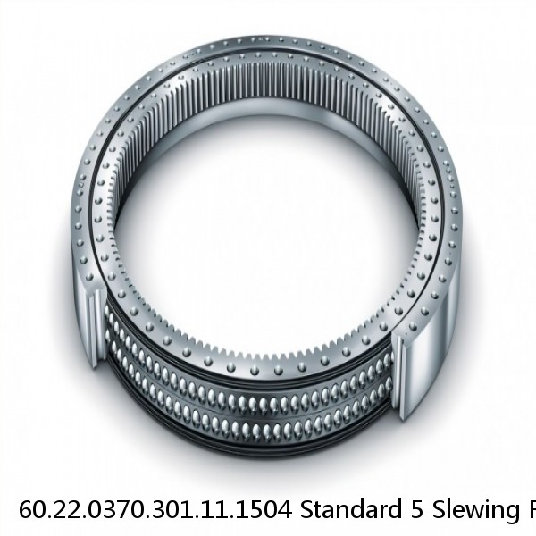 60.22.0370.301.11.1504 Standard 5 Slewing Ring Bearings