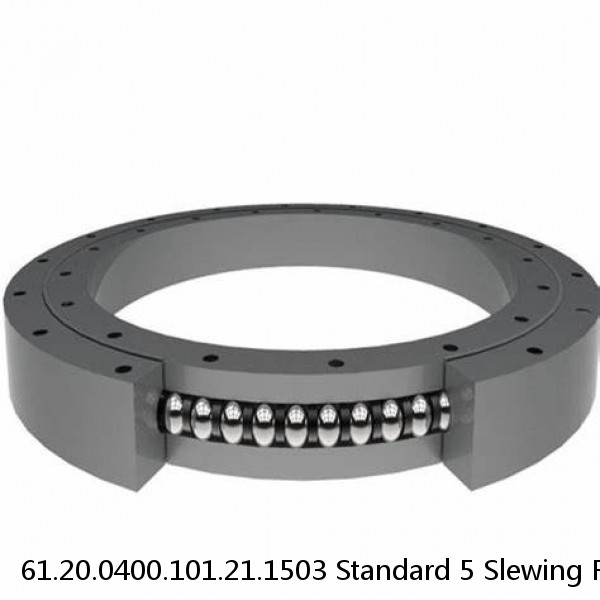 61.20.0400.101.21.1503 Standard 5 Slewing Ring Bearings