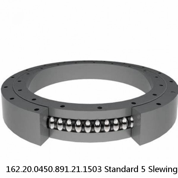 162.20.0450.891.21.1503 Standard 5 Slewing Ring Bearings