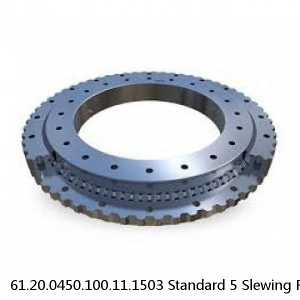 61.20.0450.100.11.1503 Standard 5 Slewing Ring Bearings