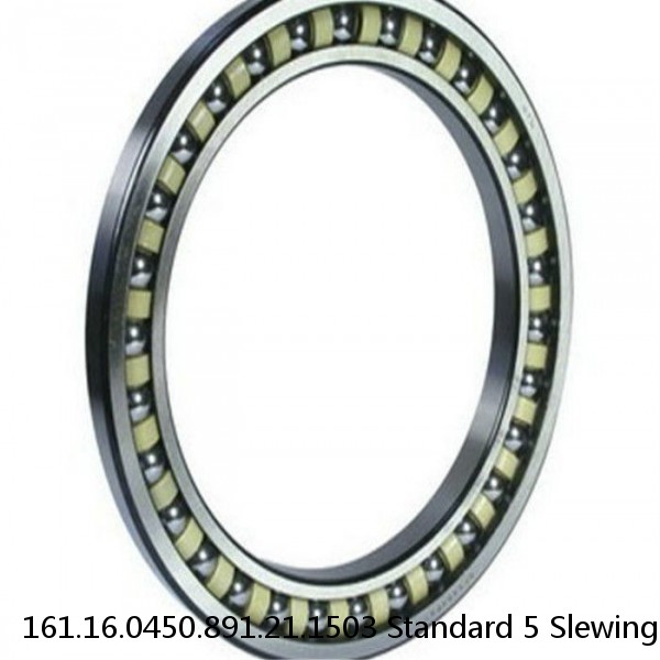 161.16.0450.891.21.1503 Standard 5 Slewing Ring Bearings