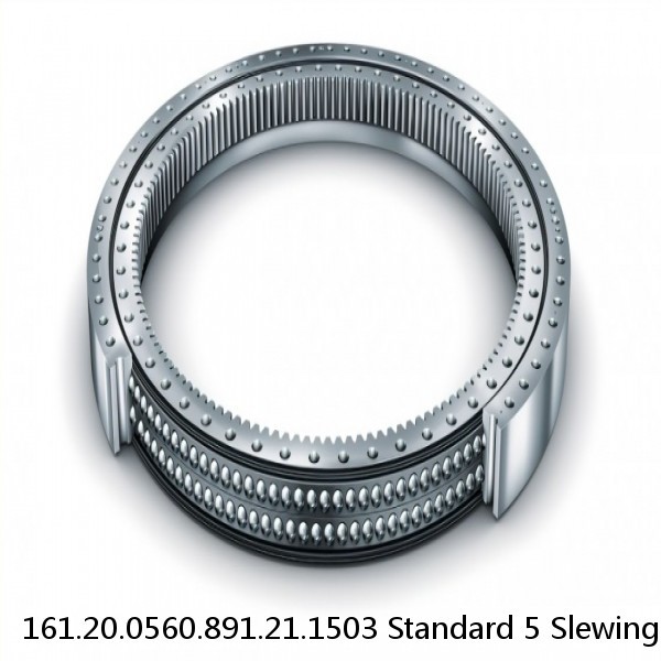 161.20.0560.891.21.1503 Standard 5 Slewing Ring Bearings