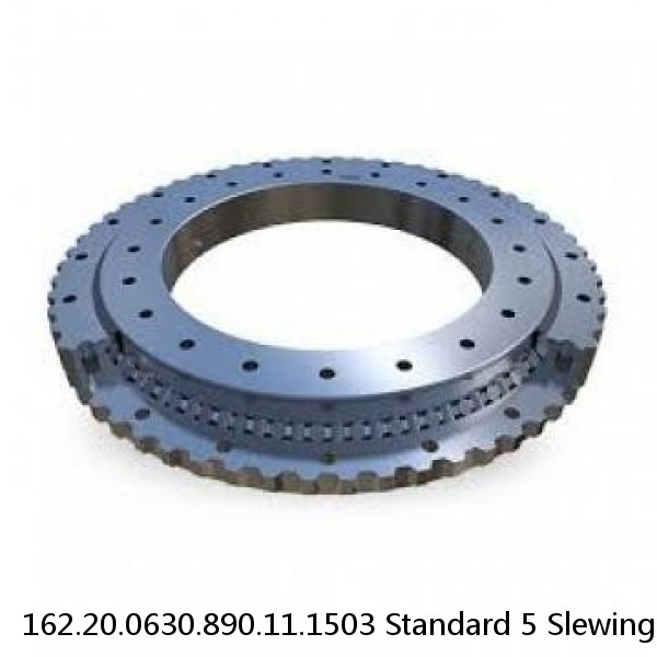 162.20.0630.890.11.1503 Standard 5 Slewing Ring Bearings