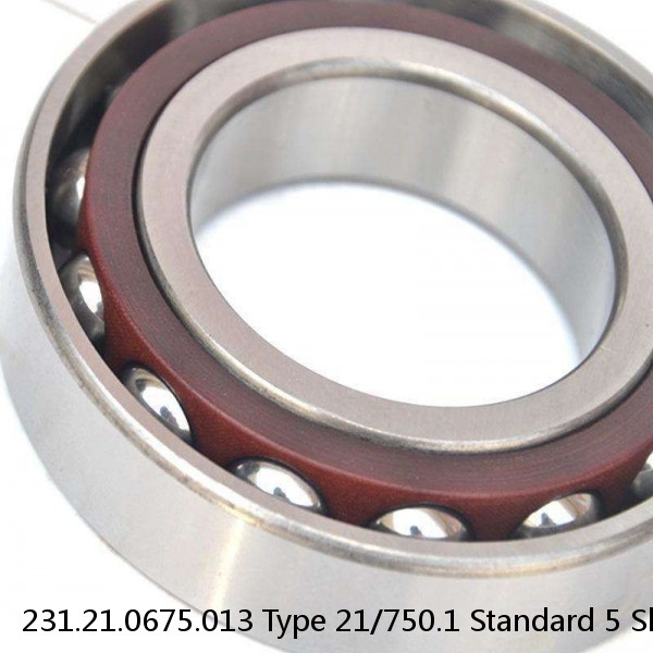 231.21.0675.013 Type 21/750.1 Standard 5 Slewing Ring Bearings