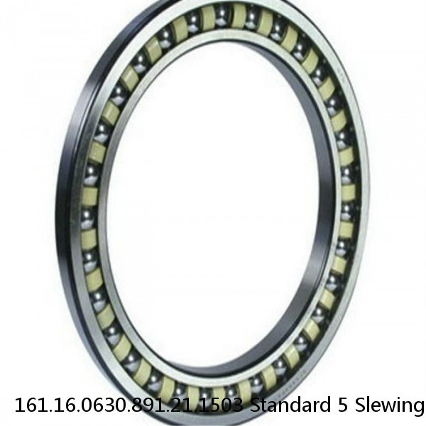 161.16.0630.891.21.1503 Standard 5 Slewing Ring Bearings