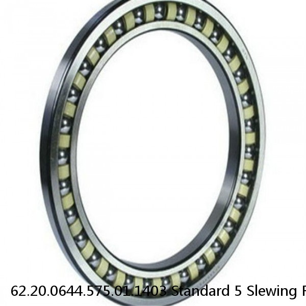 62.20.0644.575.01.1403 Standard 5 Slewing Ring Bearings