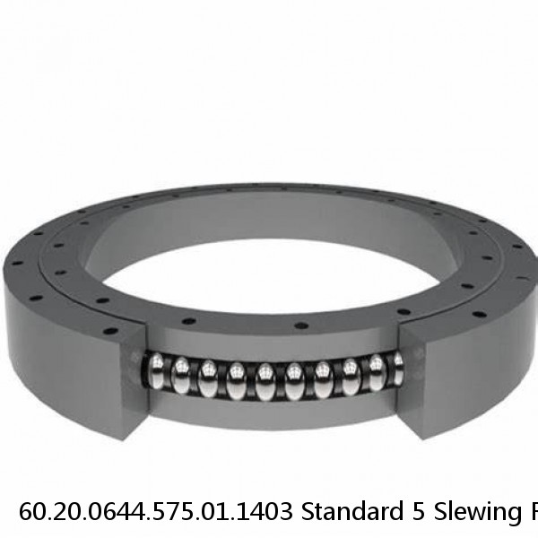 60.20.0644.575.01.1403 Standard 5 Slewing Ring Bearings