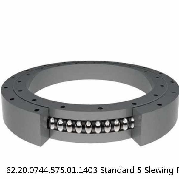 62.20.0744.575.01.1403 Standard 5 Slewing Ring Bearings