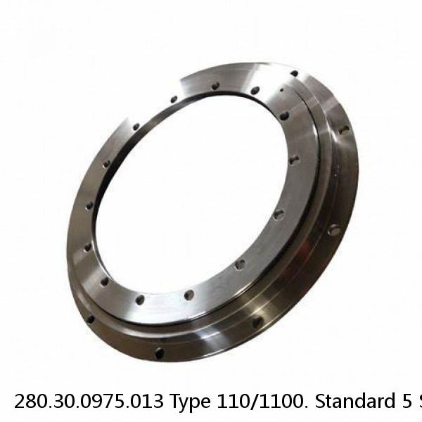 280.30.0975.013 Type 110/1100. Standard 5 Slewing Ring Bearings