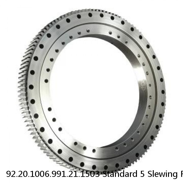 92.20.1006.991.21.1503 Standard 5 Slewing Ring Bearings